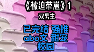《被迫带崽》双男主/强推/已完结/abo文