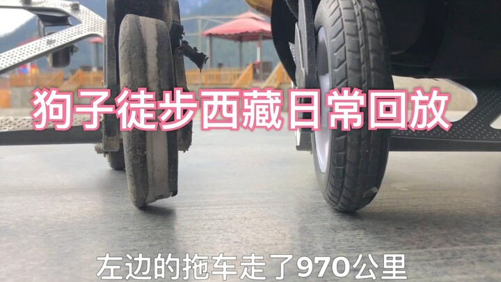 Chúng ta về nhà rồi! Honey hỏi các bạn còn cơm thừa không ăn nha!