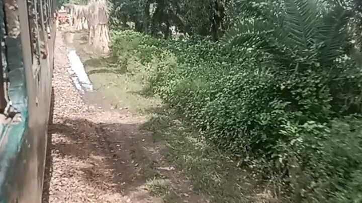কুষ্টিয়া থেকে ঢাকা ট্রেন ভ্রমণ