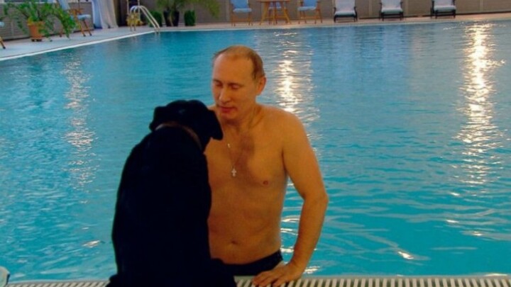 Film|Putin Swims