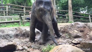 มาดูน้องน้ำเพชรอาบน้ำกัน555