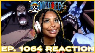 TAKE THE BARREL AWAY NOW! KAIDO DRUNK IS WILD! | ONE PIECE EPISODE 1064 REACTION