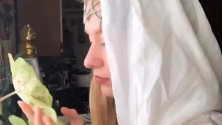 Bách khoa tinh linh Trung Địa: