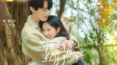 Always Home 2025 - Ep 28 (Sub Indo)