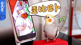 Seekor burung beo yang bisa berkomunikasi dengan Dave. [Marco Polo show]