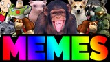 BEST MEMES COMPILATION V40