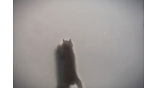 心无杂念，必将如履平地！