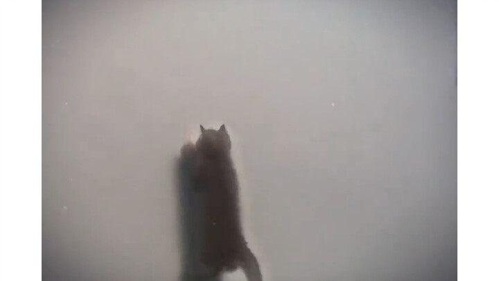 心无杂念，必将如履平地！