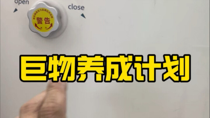 Raising beetles in a high-pressure, high-oxygen environment: Recreating the Age of Gigantic Insects 