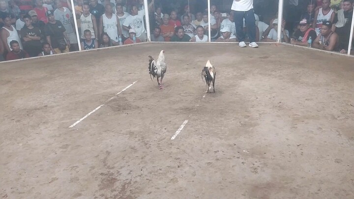 entry 1 all unscratch sinamahan lang ni ladyluck