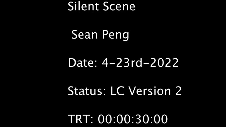 Silent Scene (version 2)