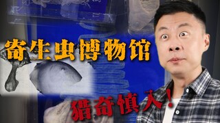 Yang takut serangga harap berhati-hati