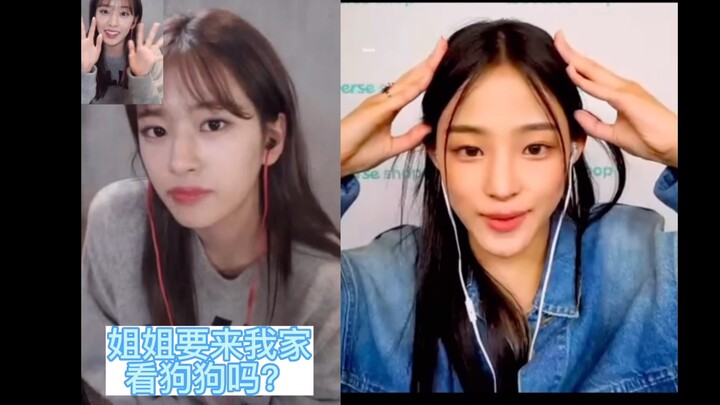 When Ahn Yujin received a straightforward confession from Minji.