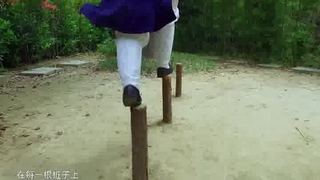 武当轻功的传承——蜻蜓点水