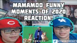 Mamamoo Funny Moments of 2020 - Reaction