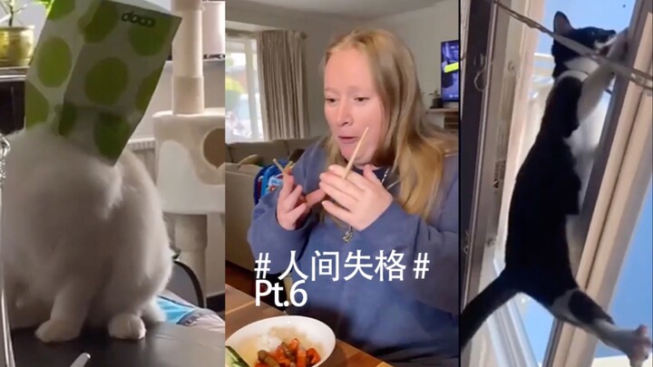 No Longer Human Pt.6: Don’t Laugh Challenge