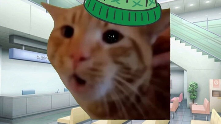 【Cat meme】Going to investigate a case with Momo: The cheating scene, the original wife was stabbed