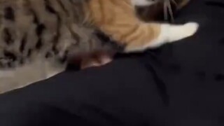 ในที่สุดก็รู้แล้วว่าทำไม "เด็กถึงสามารถผูกมัดแม่ไว้ได้"