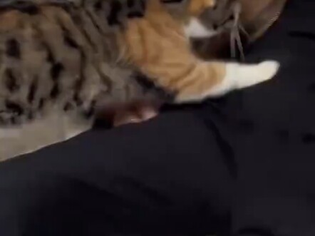 ในที่สุดก็รู้แล้วว่าทำไม "เด็กถึงสามารถผูกมัดแม่ไว้ได้"