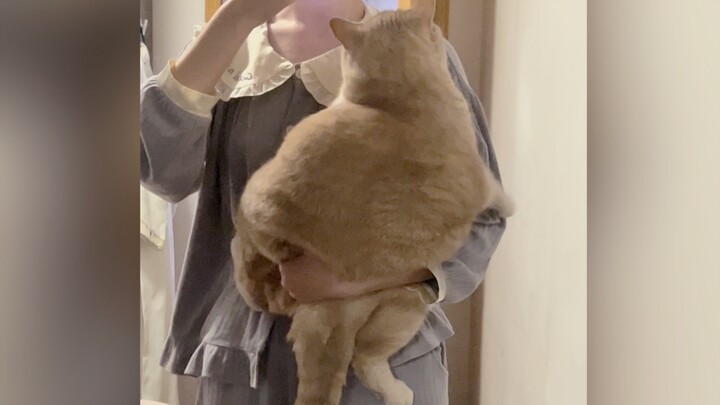 แค่ยกแมวด้วยมือเดียวเอง