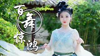 飘然转旋回雪轻，嫣然纵送游龙惊【百舞惊鸿】【千岁】