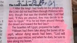 Daily Verse.                  Exodus 13:17-22