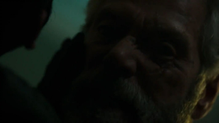 Don't Breathe 2016