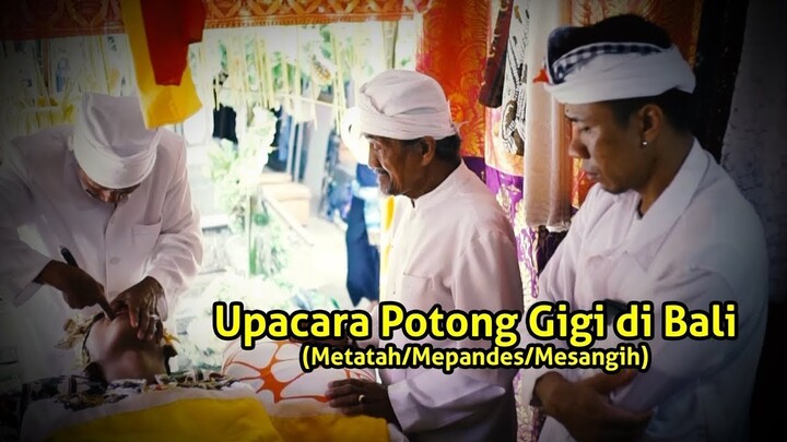 Tooth Cutting Ceremony | Upacara Potong Gigi di Bali (Metatah/Mepandes/Mesangih)