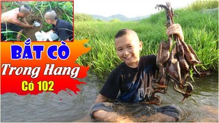 Pha Bắt Cò Trong Hang Có 102 Và Món Cò Úp Lu Cực Ngon Cực Hấp Dẫn...