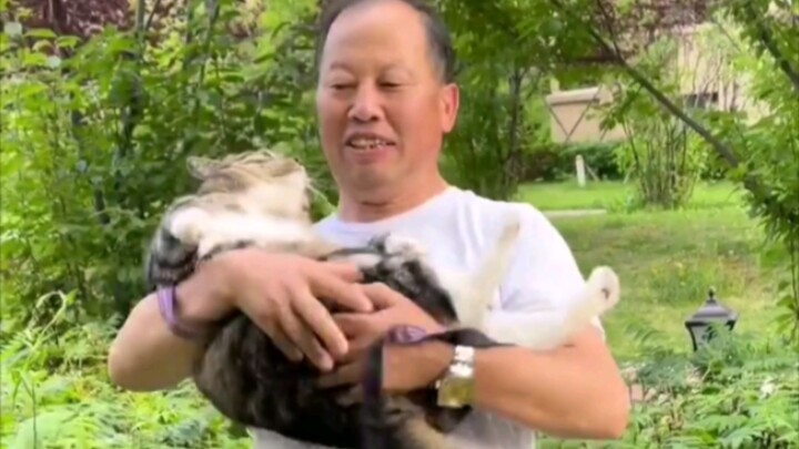 Grandpa, you’re really skilled at handling kittens!