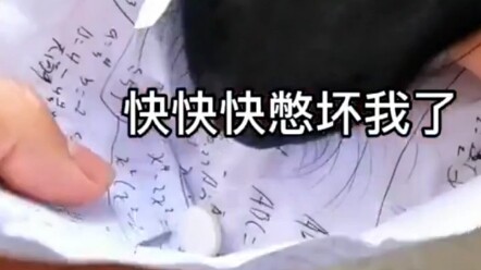 يا له من صاحب مجنون إلى هذا الحد!!! #جرو_ريفى #كلب #طعام_كلاب