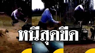 @Awesome Videos วิ่งหนีฟัด จ้ำสุดชีวิต อย่าเสียเวลาเหลียวหลังมาดูเด็ดขาด ไม่งั้นไม่รอด