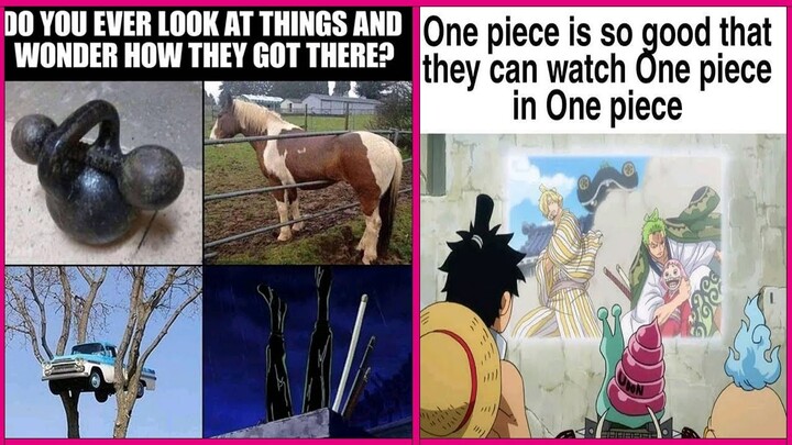 One Piece Memes #16 Only True Anime Fans Will Understand This Video