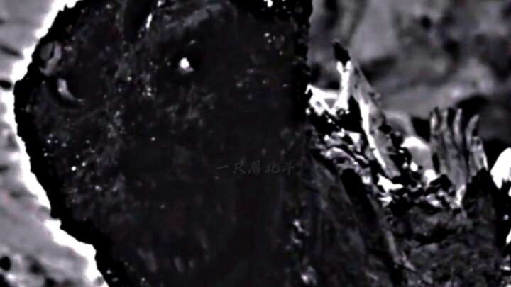 “Ý cậu là… lại xuất hiện một con Godzilla nữa ư?”