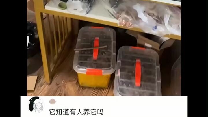 มันรู้ไหมว่ามีคนเลี้ยงมันอยู่?