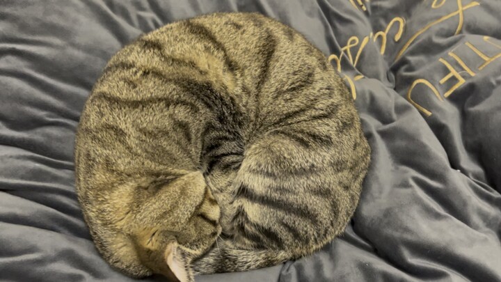 Sleeping wrapped up in yourself