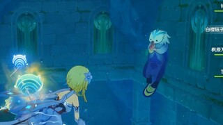 拒绝动物表演，但拒绝不了动物硬要表演