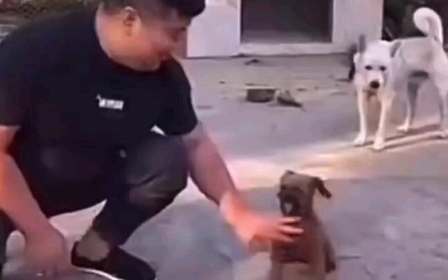 ฮ่าๆๆๆๆ