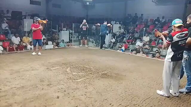 buyers update win tornado x goldenboy