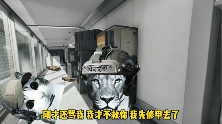 แมวน้อยแสนชั่วร้ายกลับปลอมตัวเป็นเพื่อนร่วมทีมของฉัน แล้วให้เจ้าหนูแสนดีส่งมันกลับไปยังหน่วยพิเศษซะเ