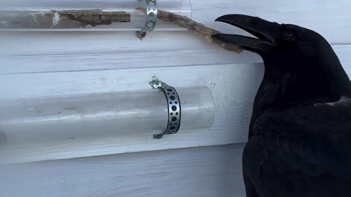 You’re totally messing with your buddy!