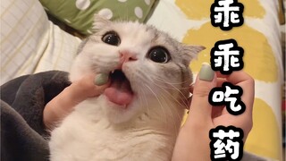 给最乖的小猫咪喂药，只需要0.01秒