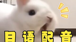 奇怪的兔兔，但是日语版