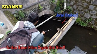 YA TUHAN!! JORAN SAMPAI KEWALAHAN DIHAJAR BABON NILEM SEGEDE INI || Mancing Nilem Babon di Selokan