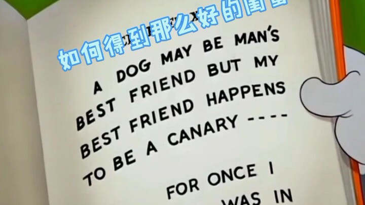 DIY视频2（勿喷）