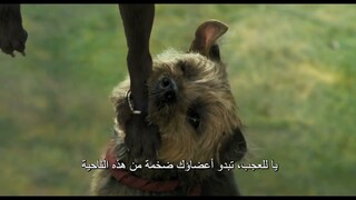 Strays | Official Trailer 2