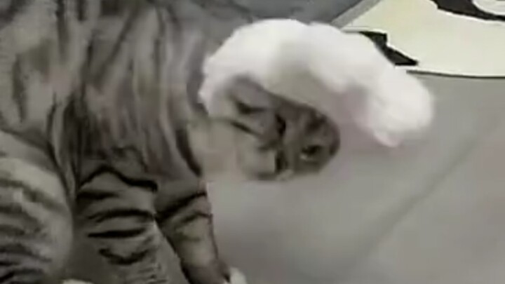 Absolutely nailed the sense of style.