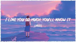 Lyrics I Like You So Much, You’ll Know It & Price Tag ~ Chill Mix