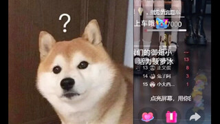 【Nian Jin】Brother Nian Jin is in the car