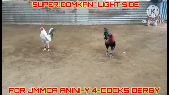 Super Domkan "Light side" for JMMCA Anini-y 4-Cocks Derby